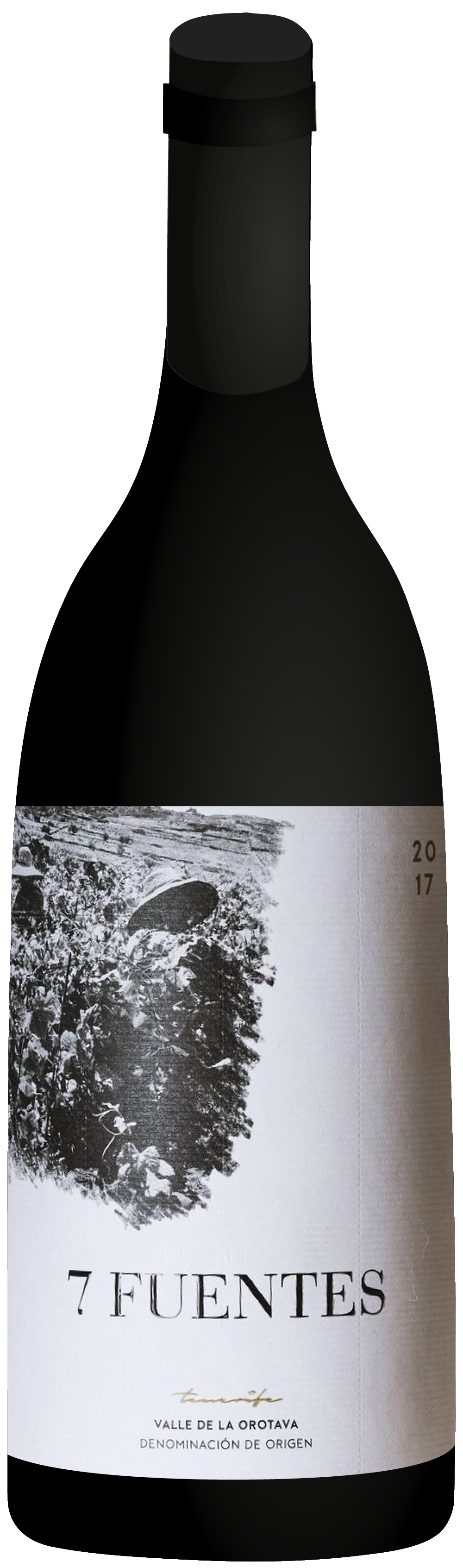 the natural wine company club june 2020 spain suertes del marques 7 fuentes