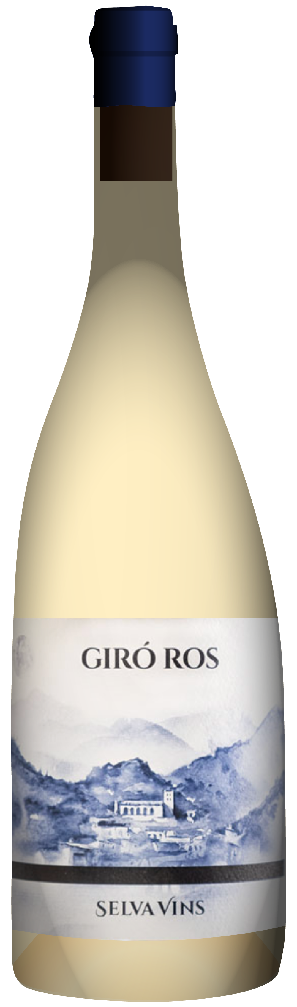 the natural wine company club october 2020 spain selva vins giro ros