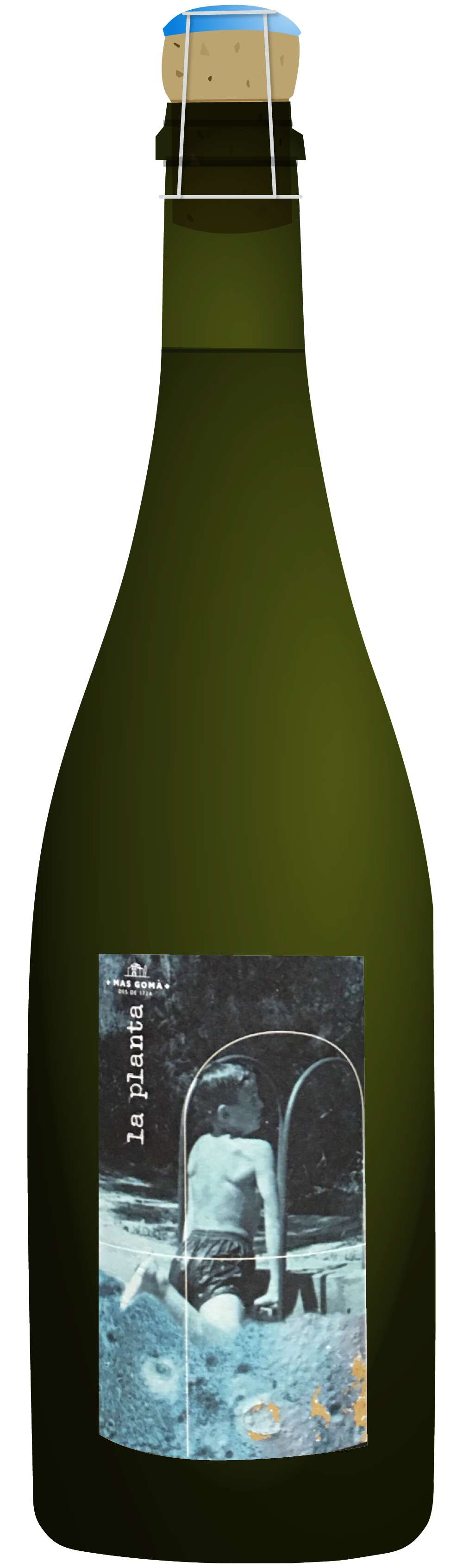 the natural wine company club august 2021 spain mas goma la planta